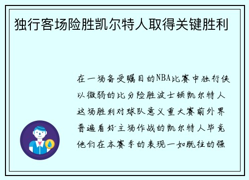 独行客场险胜凯尔特人取得关键胜利